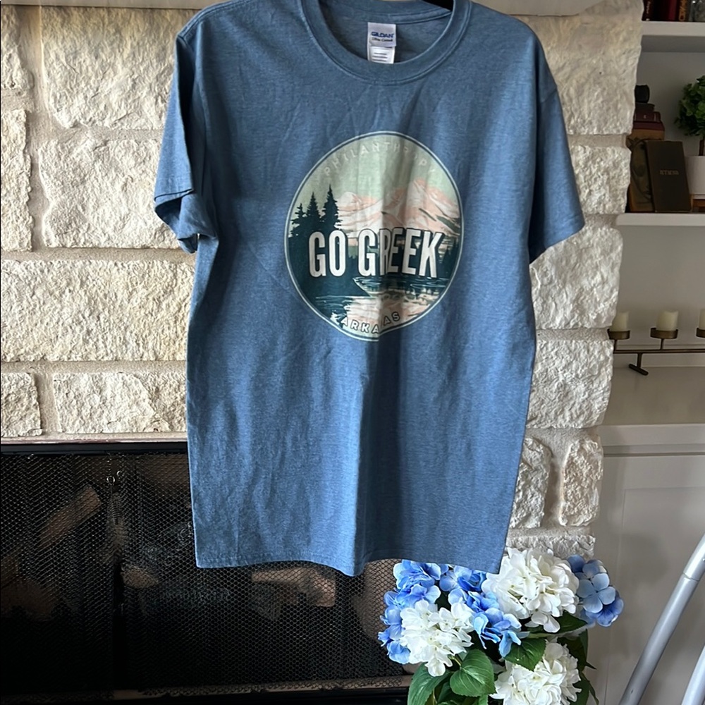 Comfort Colors Blue Short Sleeve Tee Vintage Graphic Sorority recruitment UARK